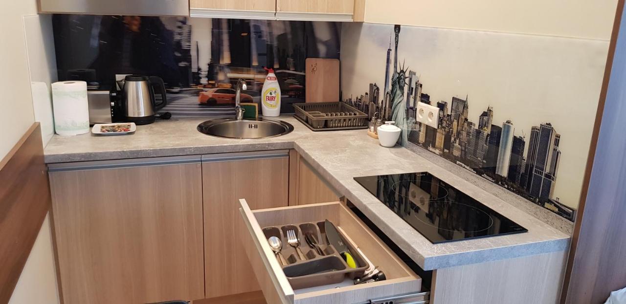 Metropolis Apartamenty Centrum Kaliszki Εξωτερικό φωτογραφία